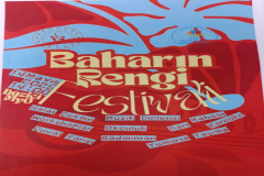 Baharın Rengi Festivali
