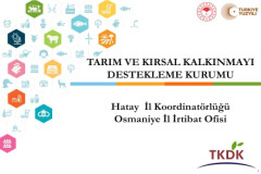 TKDK  Hatay İl Koordinatörlüğü, Osmaniye İl İrtibat Ofisi Tarafından Kadirli Uygulamalı Bilimler Fakültesi Öğrencilerine Bilgilendirme Etkinliği Düzenlendi