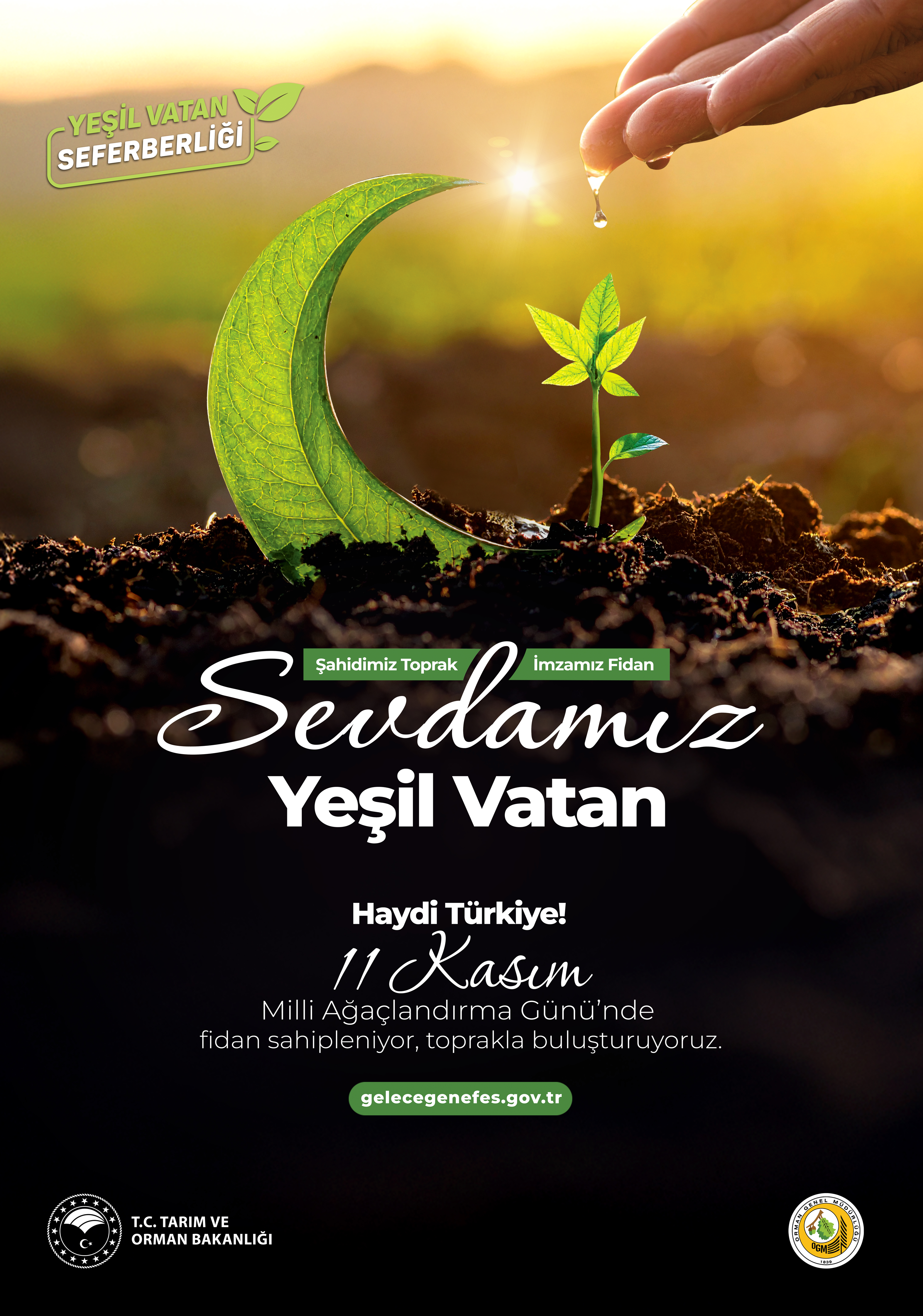 11 Kasım Milli Ağaçlandırma Günü