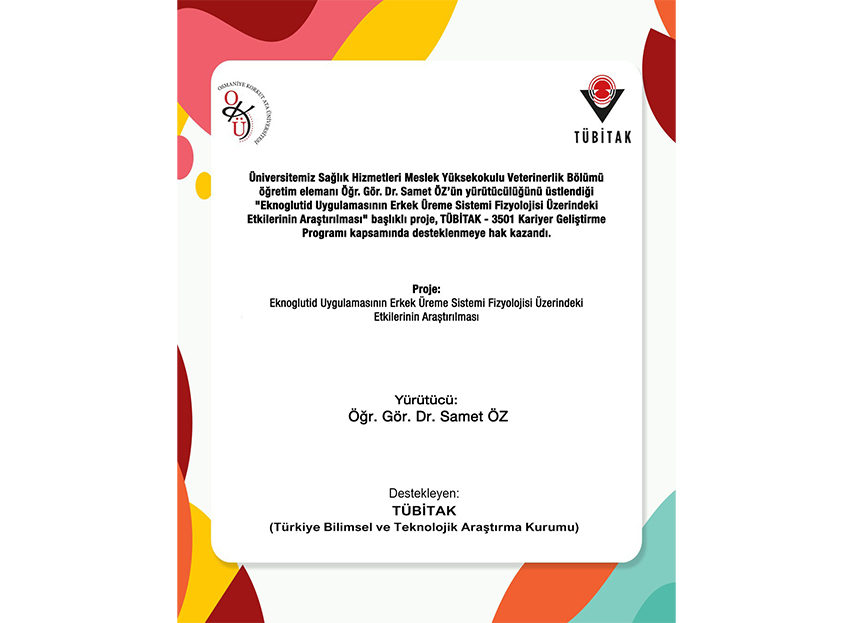 Akademisyenlerimizin Projelerine TÜBİTAK’tan Destek