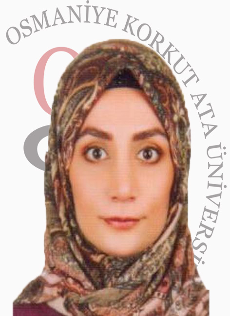 Osmaniye Korkut Ata Üniversitesi - Vikipedi